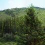 Alder Gulch Mine