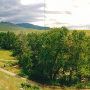 CB Guest Ranch