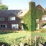 Conrad Mansion