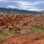 Pryor Mountains