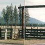 Mountain Shadow Ranch