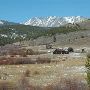 Mule Ranch