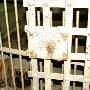 Old Butte Jail