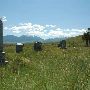 Ennis Cemetery