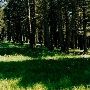 Battle Ridge Campground