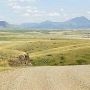 Shepherd Butte Road