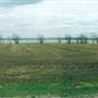 Lake Frances