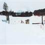 Bridger Bowl