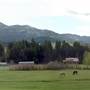 King Ranch