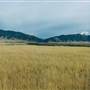 Madison Range