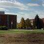 Montana State University