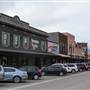Whitefish