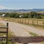 Murray Ranch