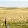 Highway 223- Fort Benton