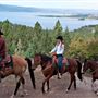 Averill's Flathead Lake Lodge