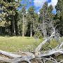 Hubbard's Ranch