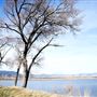 Dailey Lake