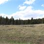 Fleecer Mountain Road