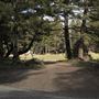 Fleecer Mountain Road