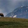 Blackfeet Indian Reservation