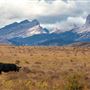 Blackfeet Indian Reservation