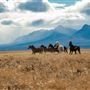 Blackfeet Indian Reservation