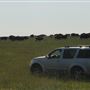 Blackfeet Indian Reservation