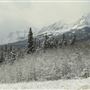 Cut Bank Creek Valley and Overlooks