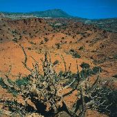 Pryor Badlands