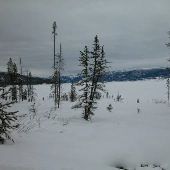 Hebgen Lake [Snow]