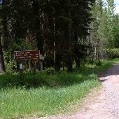 Monture Creek Roads