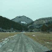 Pine Butte Swamp Preserve