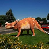 Choteau Museum