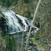 Yellowstone National Park: Gibbon Falls
