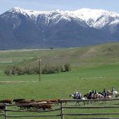 Laughing Water Ranch