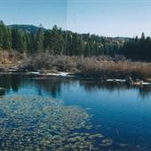 Placid Lake