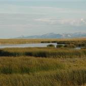 East Glacier Marshes