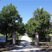 Daly Mansion