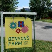 Benson Farm