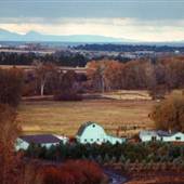 Rocky Creek Farms
