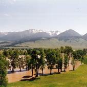 Yellowstone Valley Ranch
