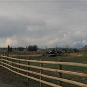 Freed Place