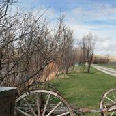 KT Ranch
