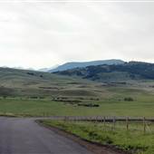 Jackson Creek Road (Spring)