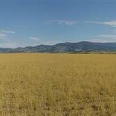 Milligan Canyon Road