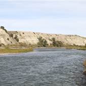 Rice Ranch