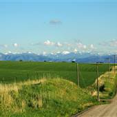 Walker Road