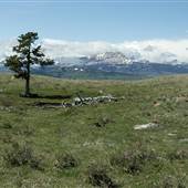 Duck Lake Ridge