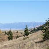 Tom Miner Basin Road