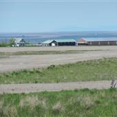 Moore Area Farms